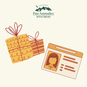 Abbonamento annuale regalo